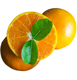 Naranjas esenciales para Agua saborizada de Toque de Naranja con CBD