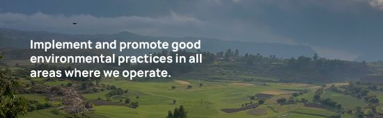 ganaderia2 en ganaderia2 en