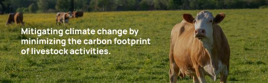 ganaderia3 en ganaderia3 en