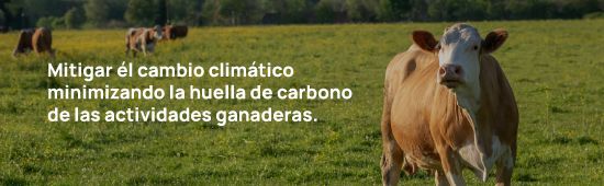 ganaderia3 ganaderia3