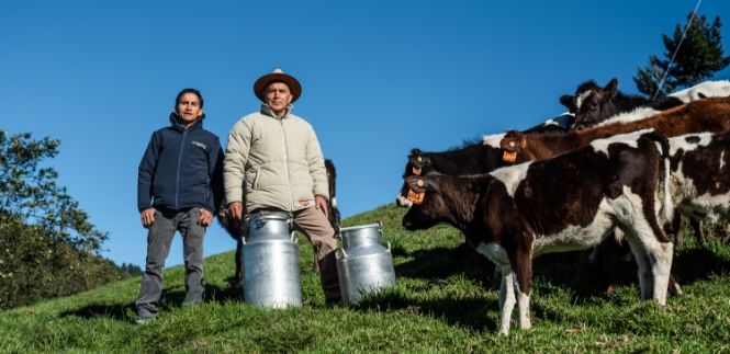 Generación Trü es tapa hecha con caña de azúcar Generación Trü es tapa hecha con caña de azúcar