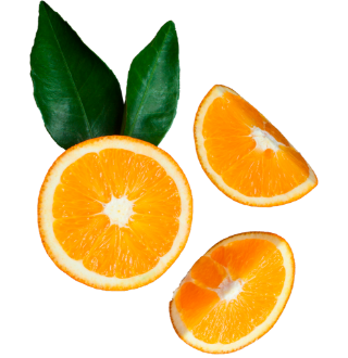 Zumo de fruta ideal para producir néctar de naranja TRU